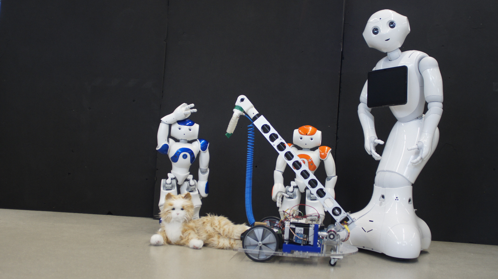 Social robot